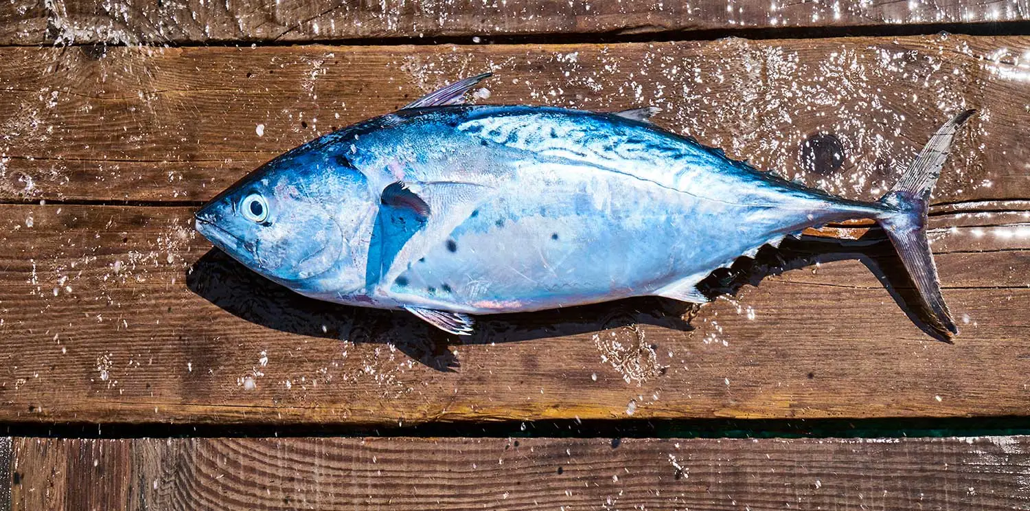 Gastronomía de La Posada de los Tumpis